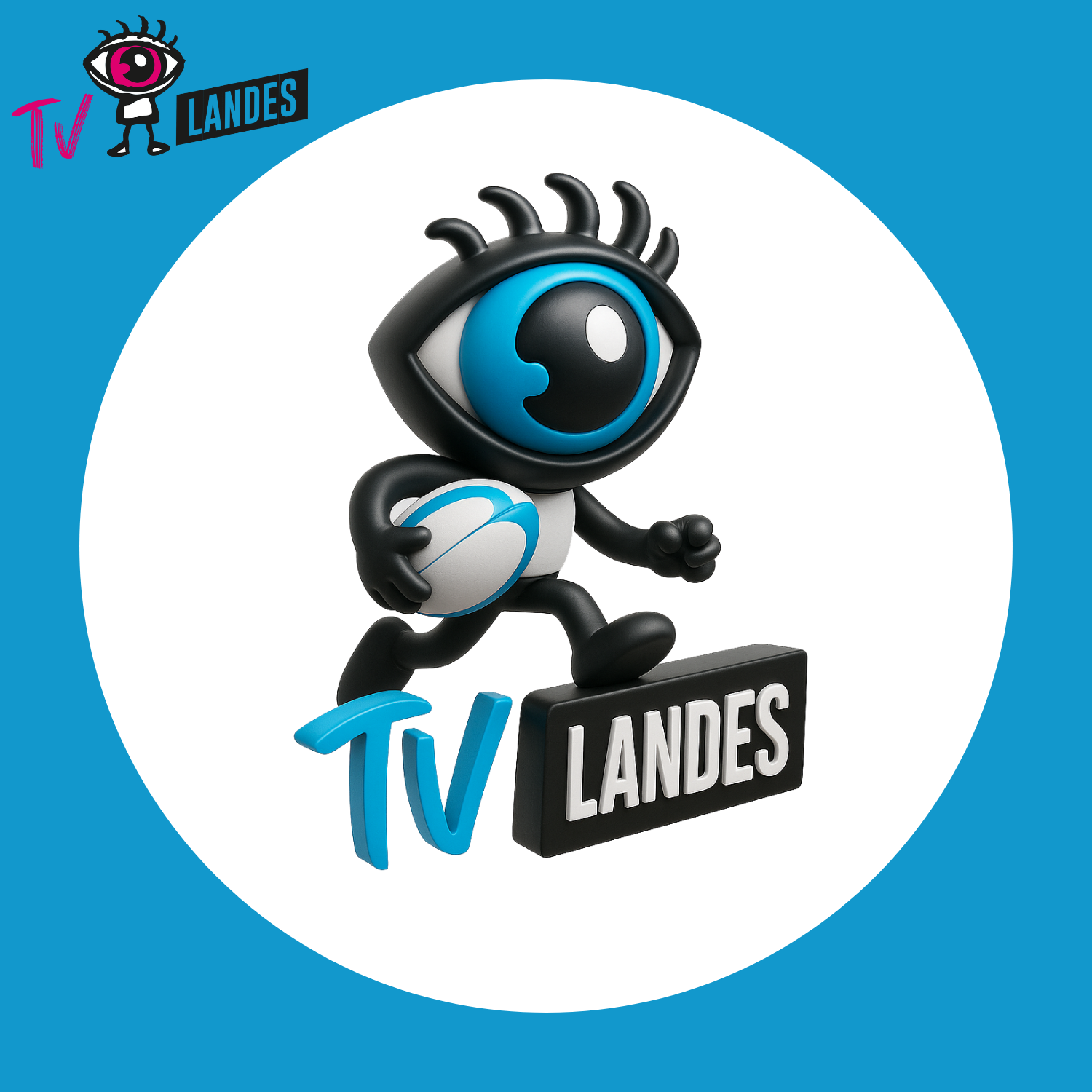 TV landes rugby