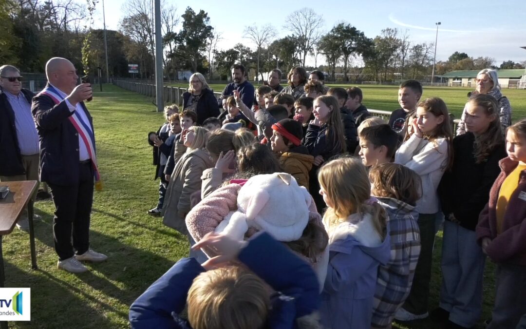 Linxe 251128 Le Rotary et Linxe s’engagent pour l’avenir du chêne-liège